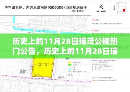 历史上的11月28日瑞茂公棚热门公告，全面评测与深度介绍