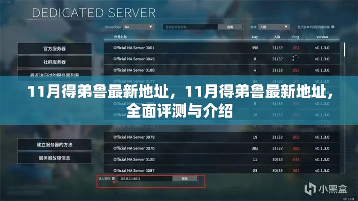 11月得弟鲁最新地址全面解析与介绍