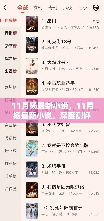 11月杨最新小说深度测评与介绍