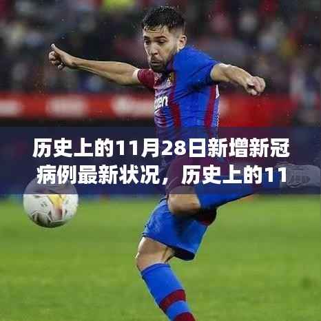 全球视角下的深度洞察,历史上的11月28日新增新冠病例最新状况报告分析