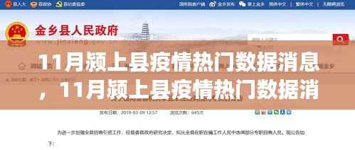 深度解析,11月颍上县疫情数据报告——特性、体验与用户群体评测