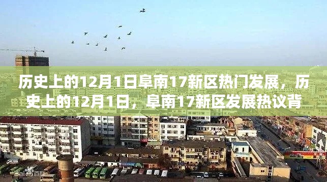 历史上的12月1日,阜南17新区多维度的热议与发展透视