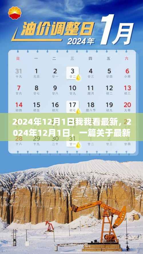 深度剖析与回顾,最新文章在2024年12月1日的独特视角