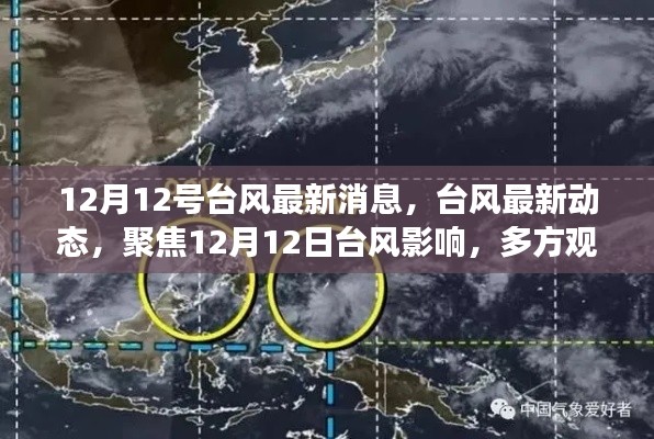 12月12日台风最新动态与深度解读,多方观点聚焦台风影响