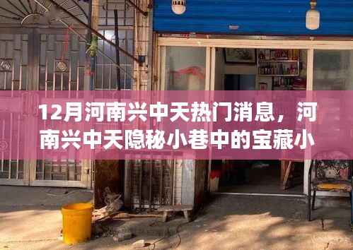 河南兴中天宝藏小店,十二月独家热门探秘之旅