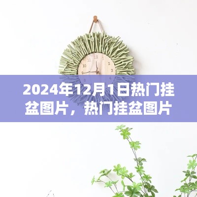 探索家居装饰新风尚,热门挂盆图片引领2024年家居潮流