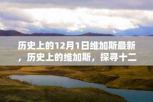 admin 第8页