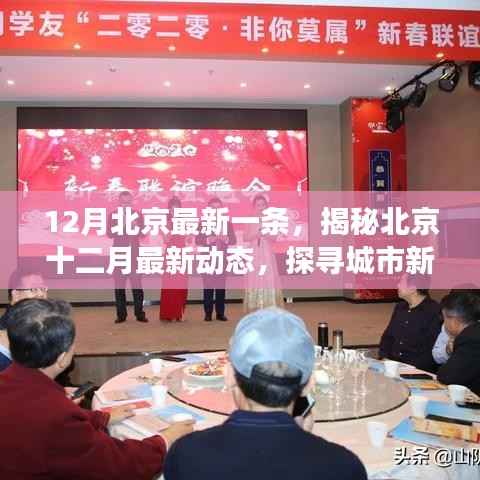 风驰电掣 第4页