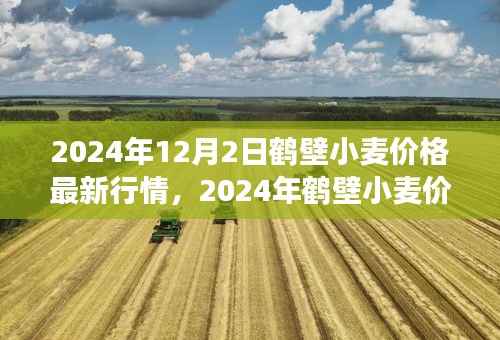 2024年12月2日鹤壁小麦价格最新行情,2024年鹤壁小麦价格最新行情解析及市场分析指南