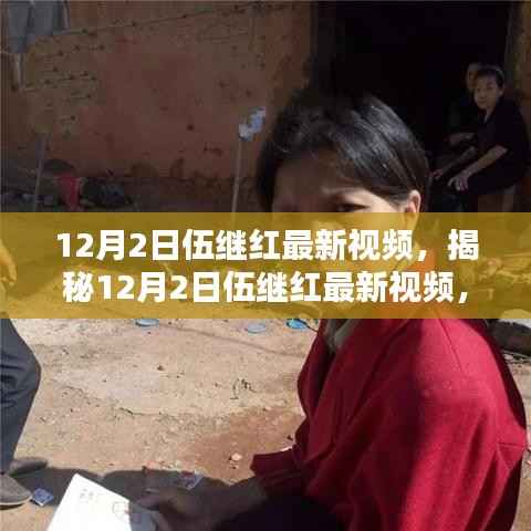 揭秘伍继红最新视频,内容与亮点前瞻(12月2日更新)