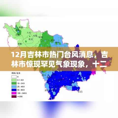 吉林市十二月罕见气象现象揭秘,台风热议背后的真相探究