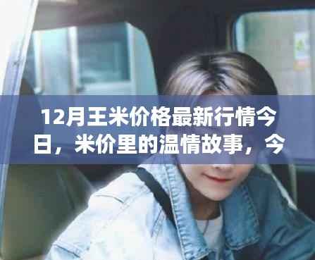 今日王米价格揭秘,温情故事与友情日常中的秘密行情