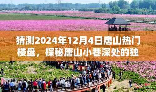 探秘唐山未来热门楼盘与小巷独特魅力,揭秘未来新星与隐藏特色小店(预测至2024年12月4日)