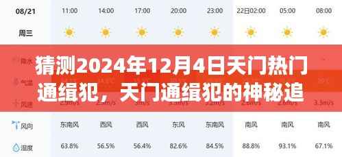 天门神秘通缉犯追踪背后的爱与陪伴故事,预测2024年12月4日热门通缉犯动向