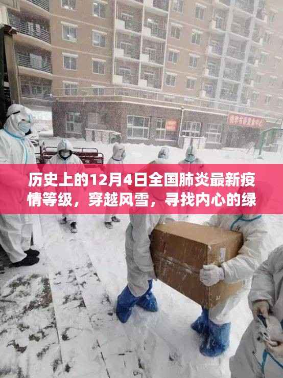 历史上的十二月四日全国肺炎疫情等级与自然的疗愈之旅,风雪中的绿洲探索