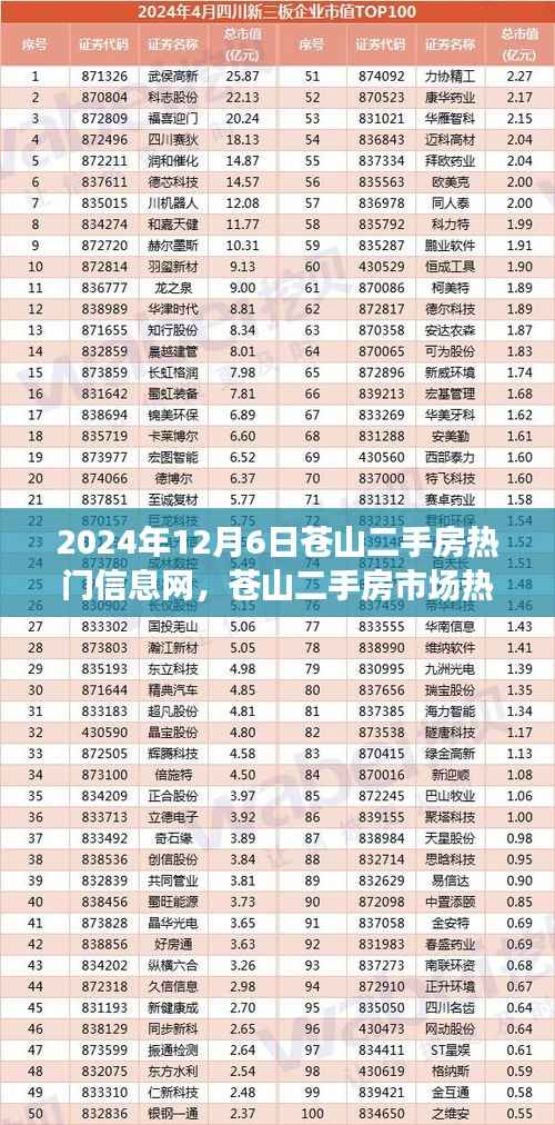 苍山二手房市场热门信息解读,机遇与挑战并存