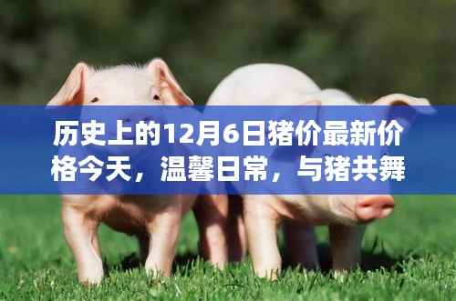今日温馨日常,与猪共舞的日子——揭秘历史猪价背后的故事