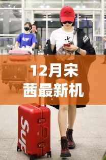 12月宋茜最新机场街拍,宋茜的机场街拍启示录,与自然美景的邂逅,寻找内心的宁静之旅