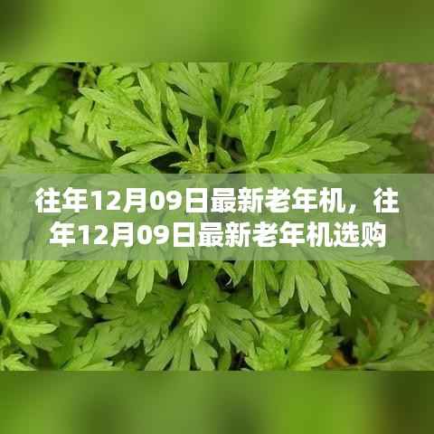 往年12月09日最新老年机选购指南,科技与舒适的完美结合