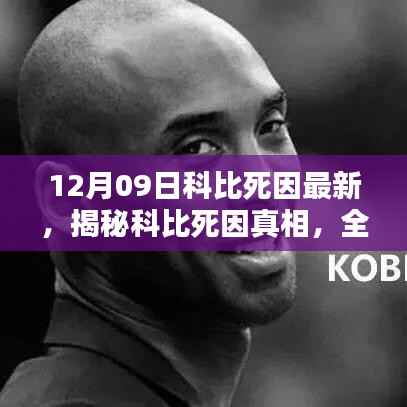 揭秘科比死因真相,全面步骤指南(初学者与进阶用户必读)