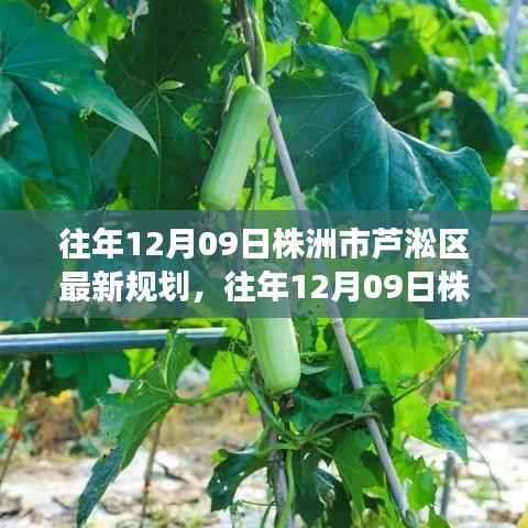 见仁见智 第2页