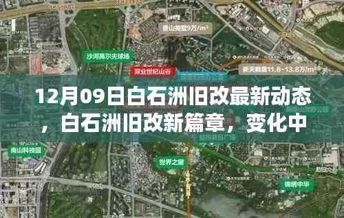 白石洲旧改最新动态,变化中的学习,自信与成就感的源泉