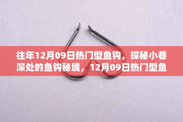 探秘12月09日热门型鱼钩,小巷深处的秘境与背后的故事