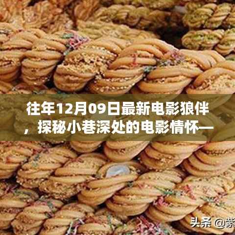 狼伴探秘,小巷深处的电影情怀特色小店