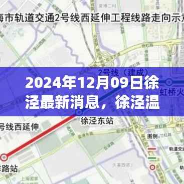 徐泾温馨日常,趣事与友情的最新篇章(2024年12月09日)