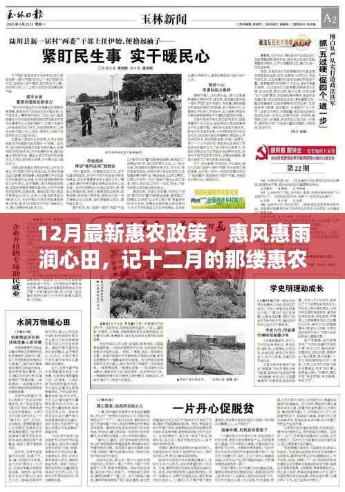 十二月惠农政策温暖人心,惠风细雨润心田,暖阳照亮乡村希望