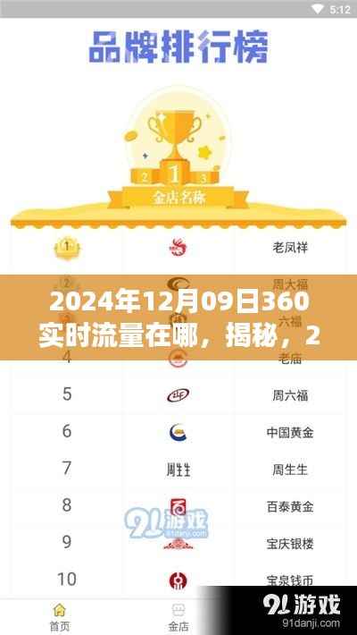 揭秘,如何查找2024年12月09日360实时流量位置指南