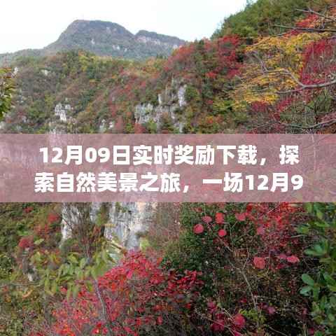 12月9日实时奖励下载之旅,探索自然美景,寻找内心平静