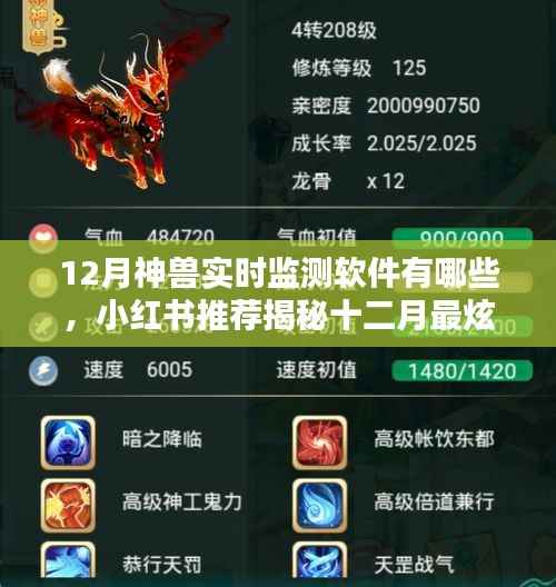 十二月最炫神兽实时监测软件TOP榜揭秘,小红书推荐软件汇总