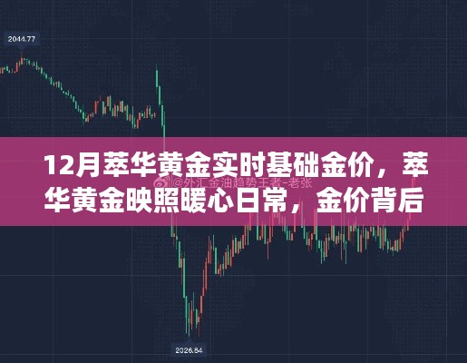 萃华黄金,金价背后的暖心日常与友情故事,12月实时基础金价解析