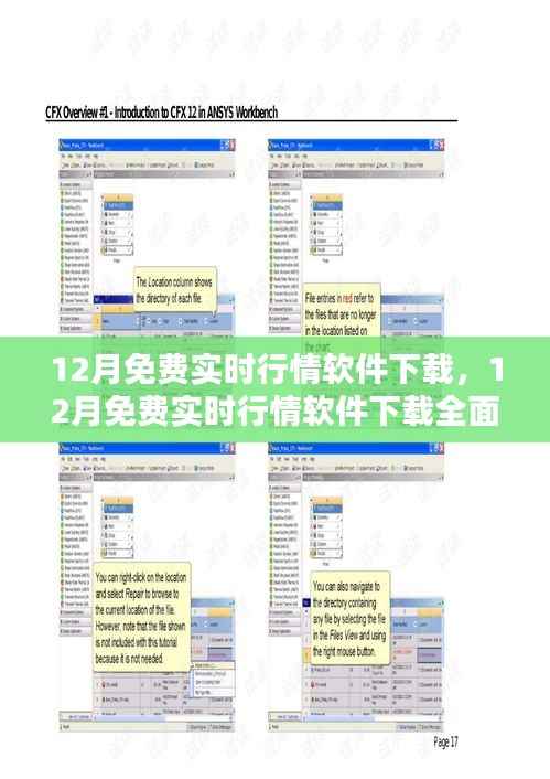 12月免费实时行情软件下载大全,全面评测与详细介绍