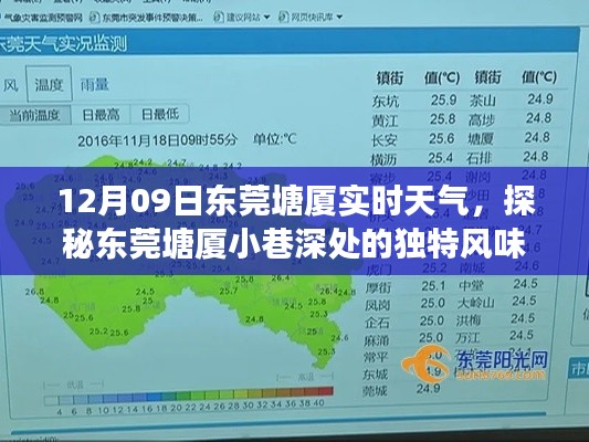探秘东莞塘厦小巷风味,12月09日实时天气惊喜之旅