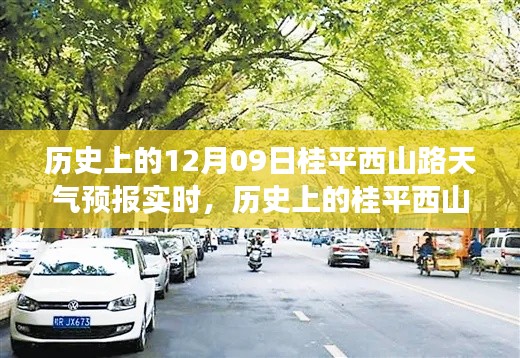 风云变幻回顾录,桂平西山路历史天气预报实时追踪与记录