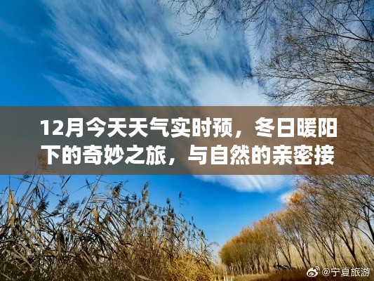 冬日暖阳下的奇妙之旅,实时天气预报与内心的宁静探寻