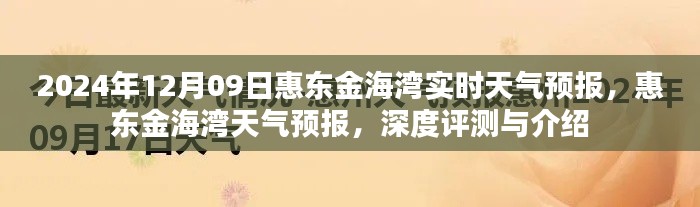 惠东金海湾天气预报深度解析,最新实时气象信息及全面介绍(2024年12月9日)