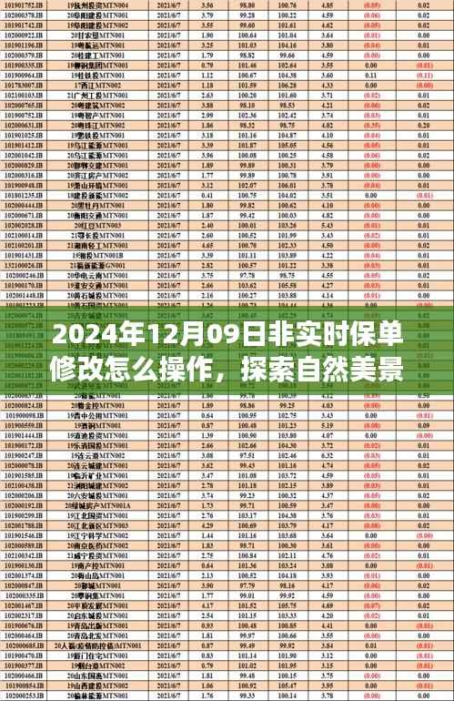 探索自然美景之旅,轻松操作保单修改指南与心灵之旅启程