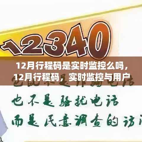 12月行程码实时动态监控与用户体验深度解析