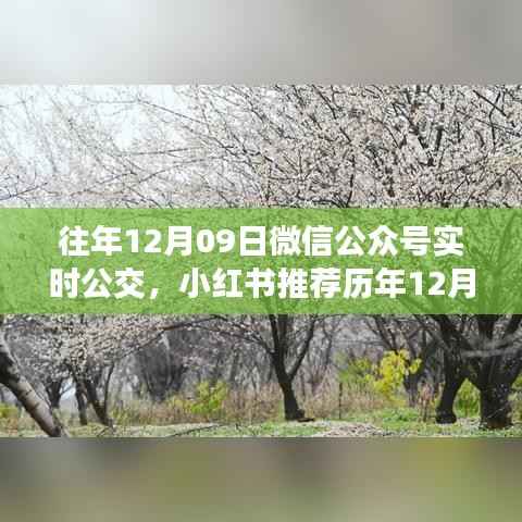 历年12月09日微信公众号实时公交功能深度解析与小红书推荐