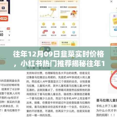 洞悉市场走势,往年12月09日韭菜实时价格小红书热门推荐揭秘!