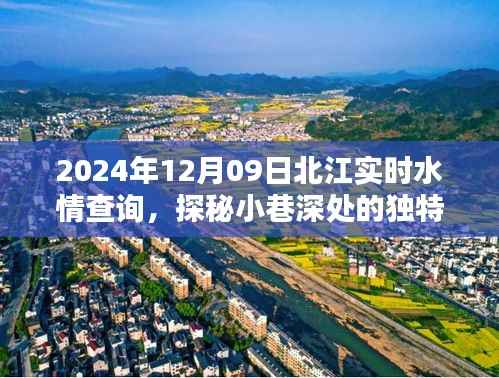 北江实时水情下的美食探秘与惊喜发现,小巷深处的独特美味,北江水情查询报告(XXXX年XX月XX日)