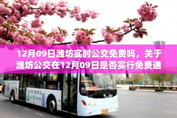 关于潍坊公交在12月09日是否实行免费通行的解读与探讨