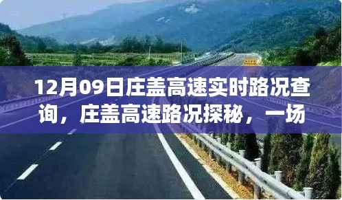 庄盖高速路况实时更新,绿色之旅探寻内心平静之路