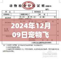 革命性宠物托运体验,2024年宠物飞机托运智能实时动态图系统介绍及实时动态图展示