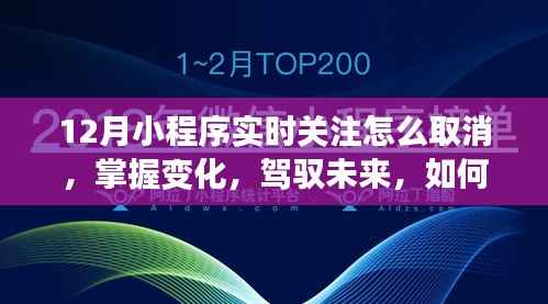 如何取消12月小程序实时关注并汲取成长力量,掌握变化,驾驭未来