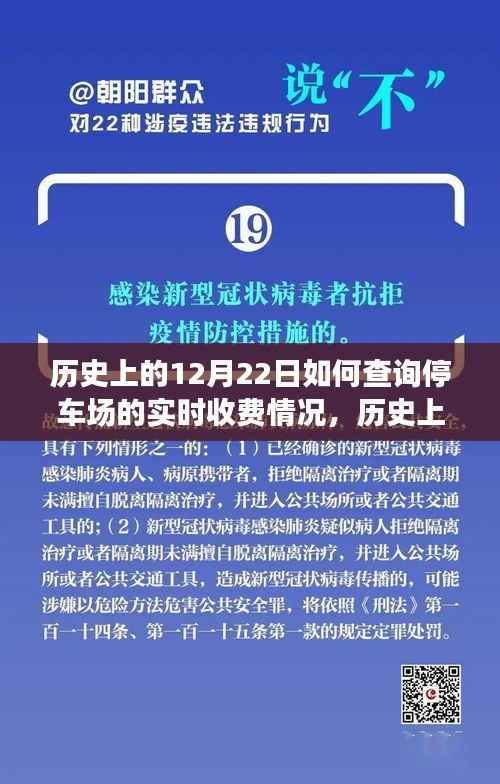 历史上的12月22日停车场实时收费查询技术揭秘,如何利用技术查询停车场的实时收费情况?