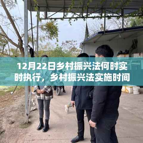乡村振兴法实施时间解析,深度评测与用户体验报告,实时执行时间探讨(附体验报告)